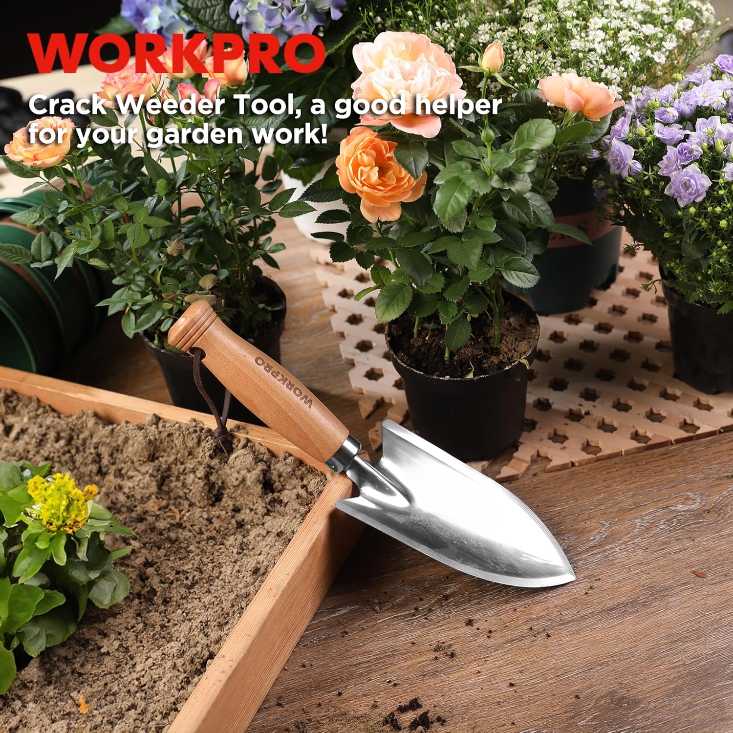 WORKPRO 11" Garden Hand Trowel, Heavy Duty Polished Stainless Steel Garden Shovel with Wooden Handle, Hand Gardening Tool for Digging, Planting, Transplanting - Image 9