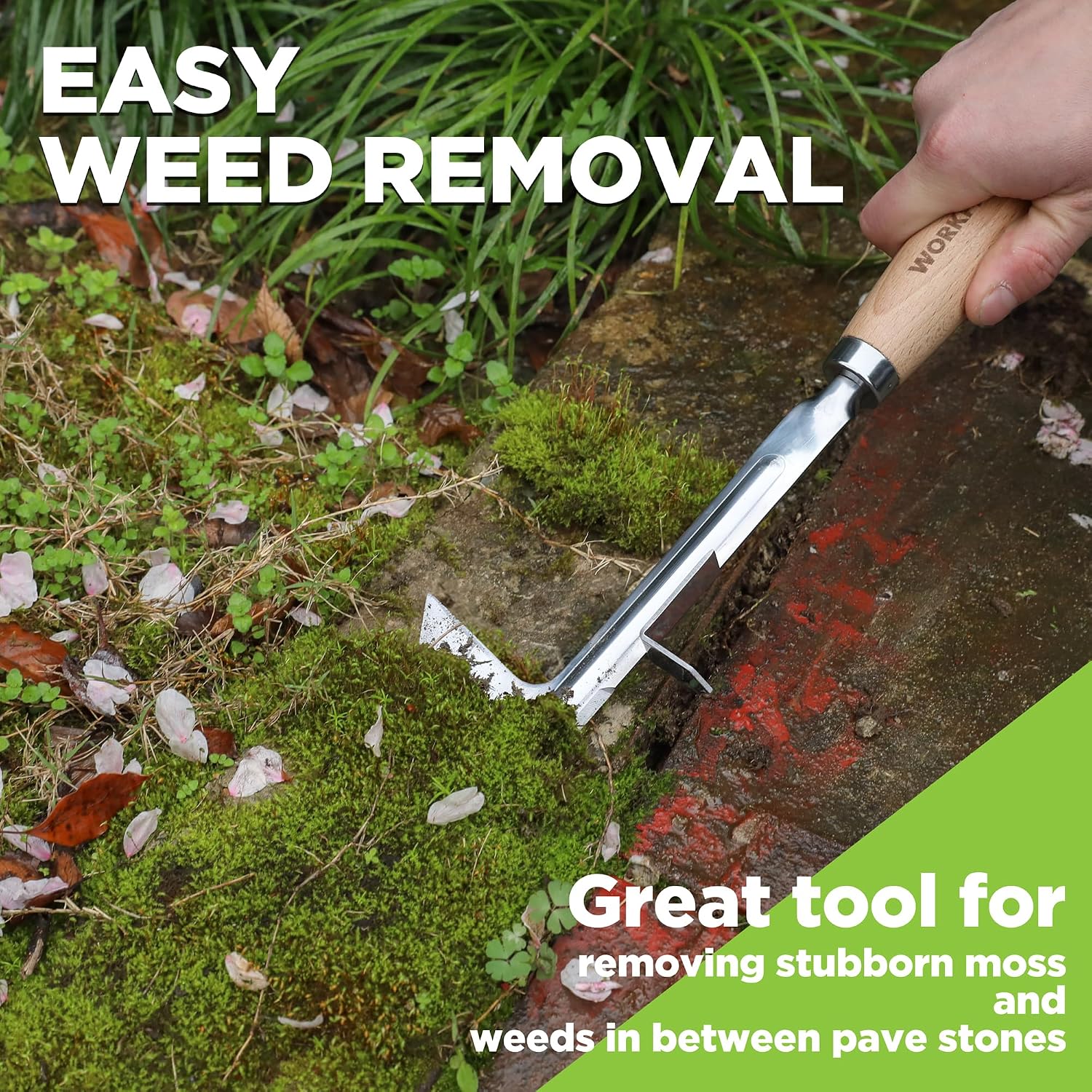 WORKPRO Crack Weeder, 12" Stainless Steel Crevice Weeding Tool with Beech Wood Handle, L-Shaped Side-Walk Weed Puller Spatula, for Garden Lawn Yard Patio Terrace Paving Moss, Small Gardening Tool - Image 7