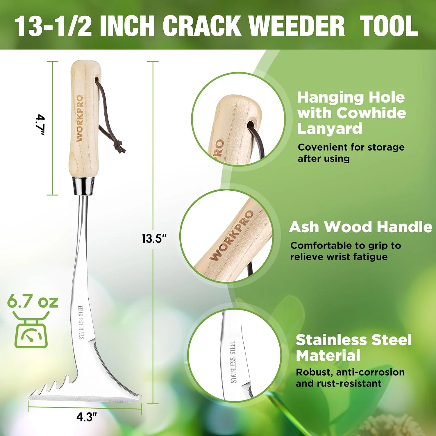 WORKPRO Crack Weeder, 13.5" Stainless Steel Crevice Weeding Tool with Wooden Handle, L-Shaped Side-Walk Weed Puller Spatula, for Garden Lawn Yard Patio Terrace Paving Garden Tool - Image 2