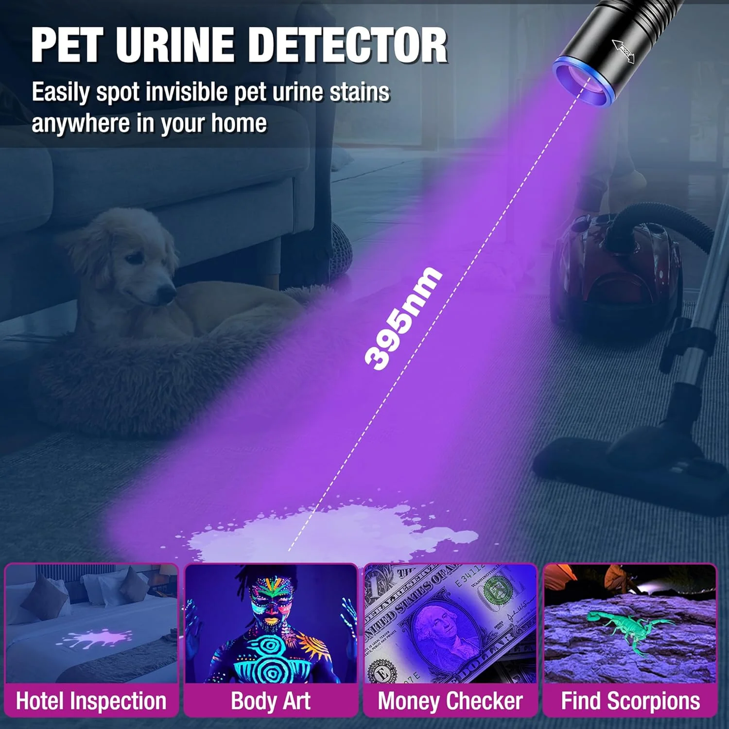 WORKPRO 2-in-1 UV Pen Flashlight with White Light, 395nm Black Light Penlight, Zoomable Focus, USB-C Rechargeable & Dry Battery Compatible for Pet Urine Detection, Camping, Emergency - Image 3