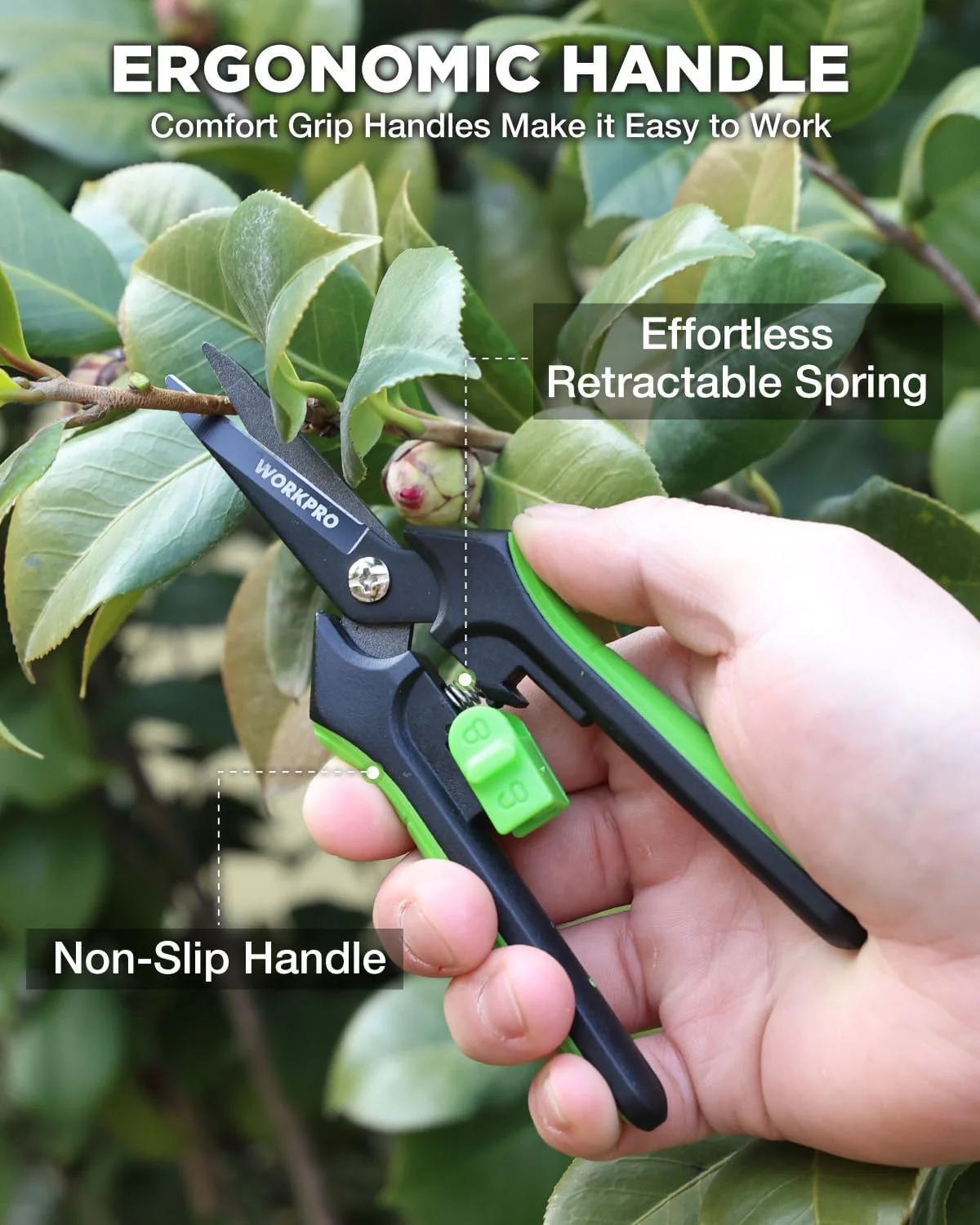 WORKPRO 2-Pack 6-Inch Garden Pruning Shears, Sharp High-Carbon Steel Harvest Snips with Nonstick Coated Blade, Spring-Loaded Gardening Scissors with Safety Lock for Flower, Fruit & Vegetable Picking - Image 6