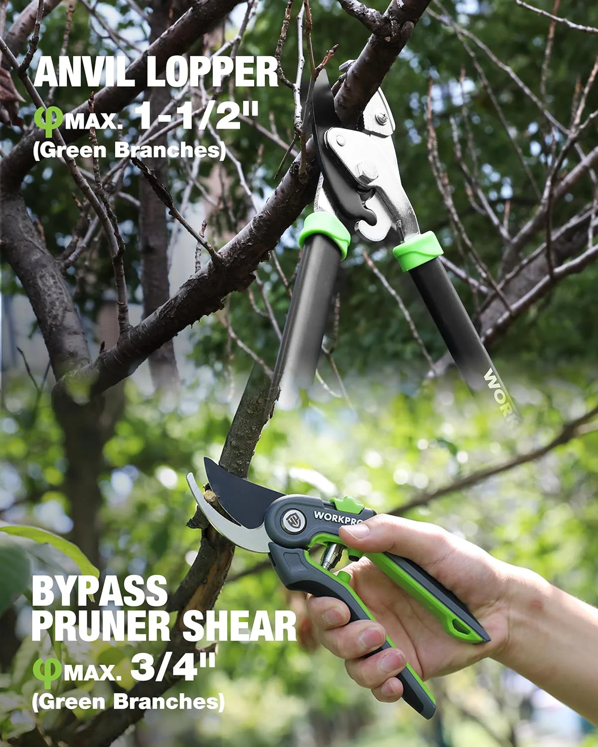 WORKPRO 3-Piece Garden Shears Set, Heavy-Duty Gardening Clippers | Include 20” Hedge Shear, 24” Anvil Lopper & 8” Pruning Shear, with Sharp Blade, Comfort Grip for Branches, Shrubs, and Hedges - Image 6