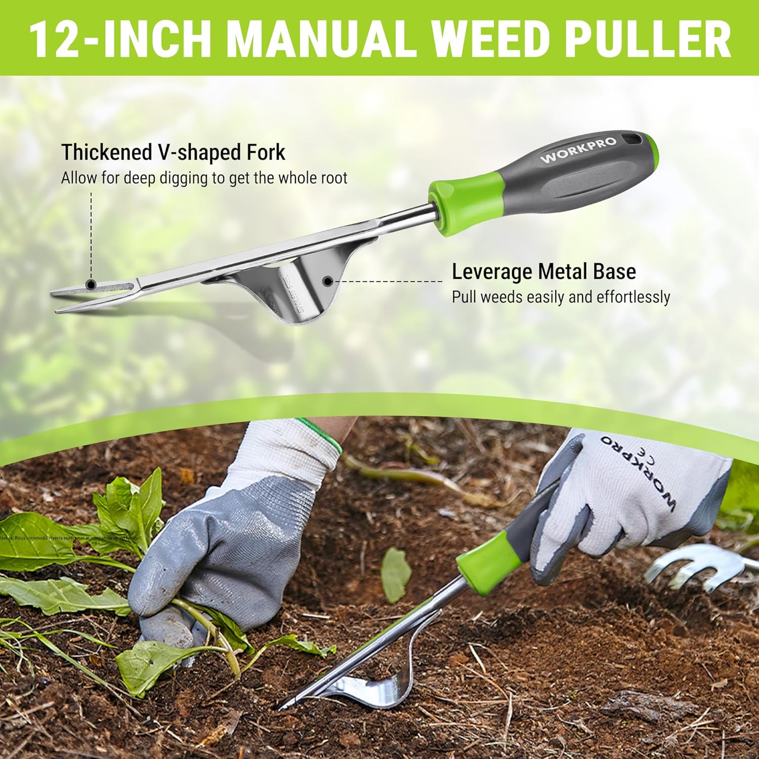 WORKPRO 3-Piece Weed Puller Tool Set, 15-Inch 6-Tine Weed Remover, 12" Hand Weeder, 12.5" Crack Weeder, Stainless Steel with Ergonomic Handle for Lawn, Garden, Yard - Image 5