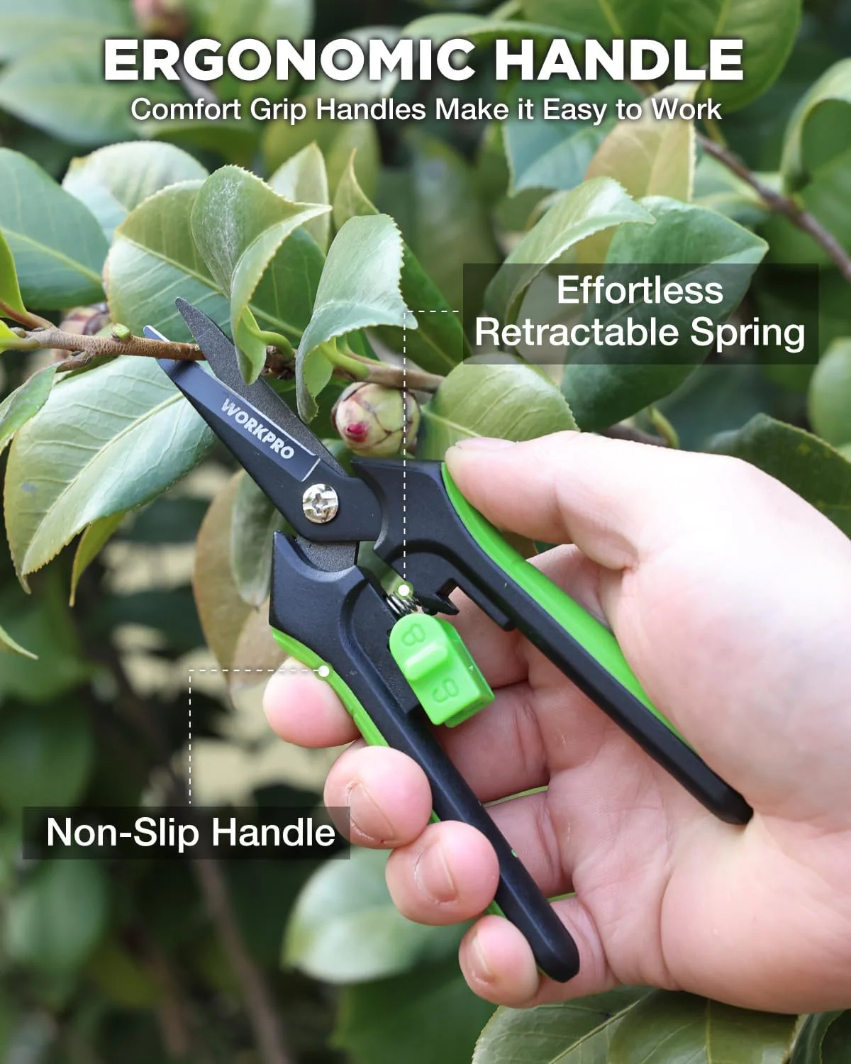 WORKPRO 6-Inch Garden Pruning Shears, Sharp High-Carbon Steel Harvest Snips with Nonstick Teflon Coating, Spring-Loaded Gardening Scissors with Safety Lock, for Flower, Fruit & Vegetable Picking - Image 6