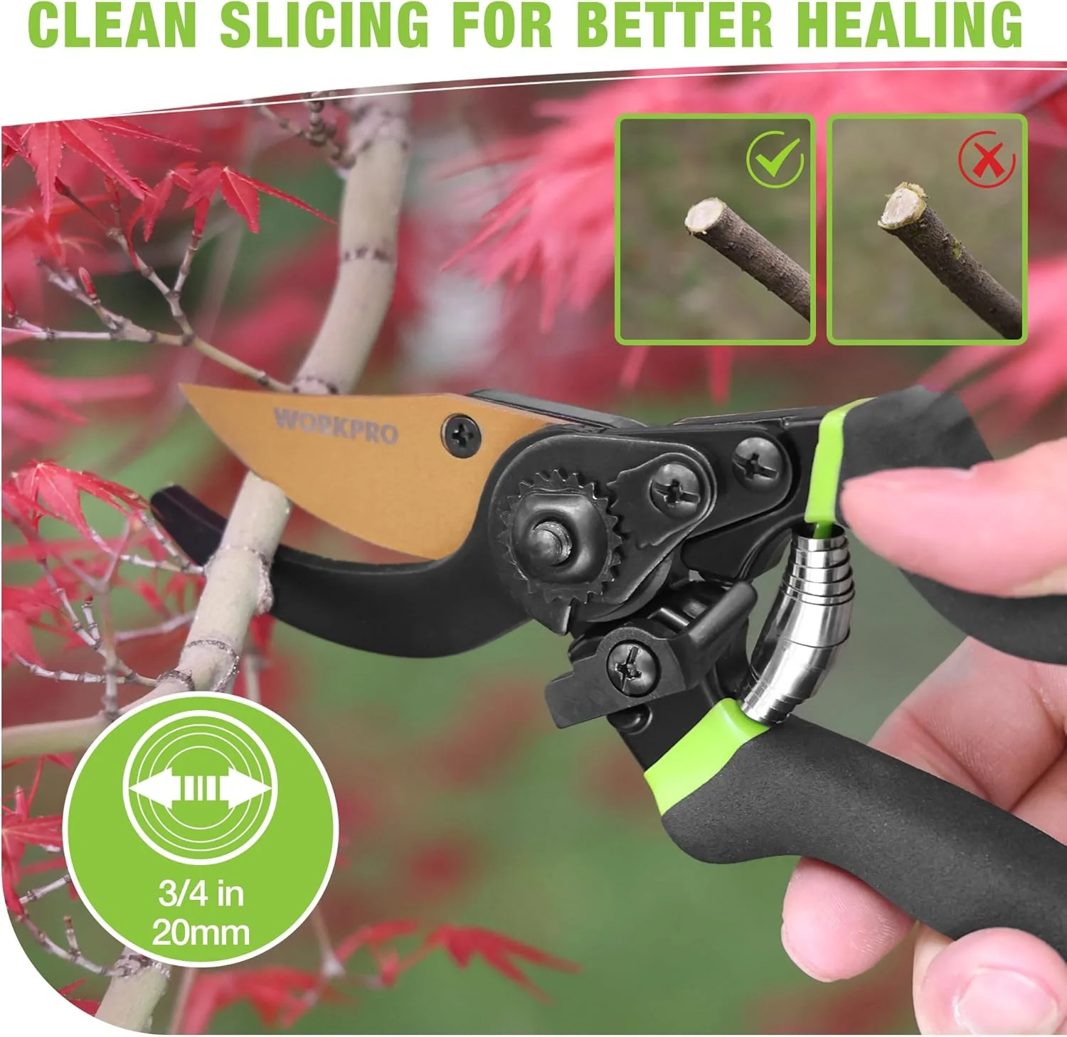 WORKPRO 8.5" Bypass Pruning Shears, Die-cast Aluminum Handle, Garden Shears with Sharp SK5 Blade, Garden Clippers, Hand Pruner for Branches, Flowers, Fruits, Plants, Effortlessly Prunes 3/4" Branches - Image 4