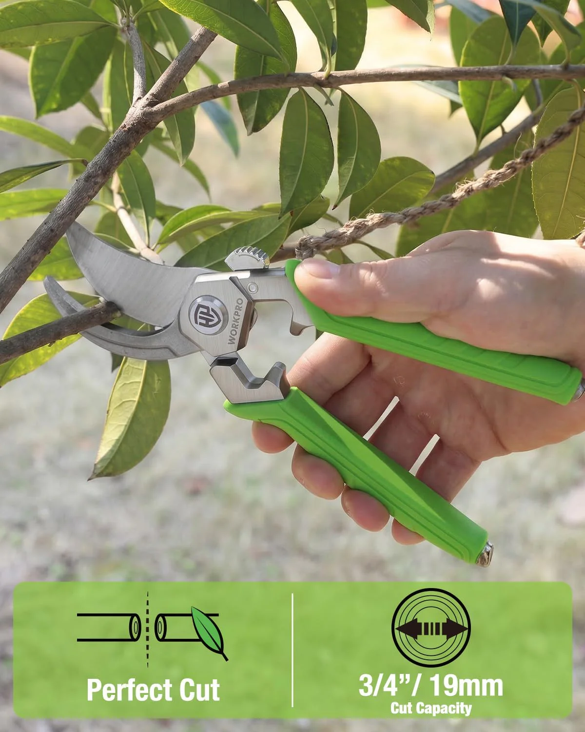 WORKPRO 8.5" Bypass Pruning Shears, Professional Forged Garden Shears | Forged Stainless Steel Blades, 3/4" Cut Capacity, Spring-Loaded, Safety Lock, Hand Pruner for Trimming, Bonsai, Flowers - Image 2
