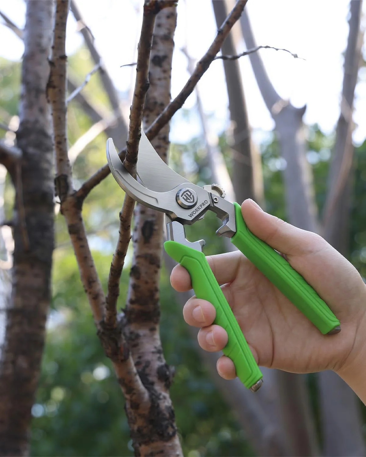 WORKPRO 8.5" Bypass Pruning Shears, Professional Forged Garden Shears | Forged Stainless Steel Blades, 3/4" Cut Capacity, Spring-Loaded, Safety Lock, Hand Pruner for Trimming, Bonsai, Flowers - Image 8