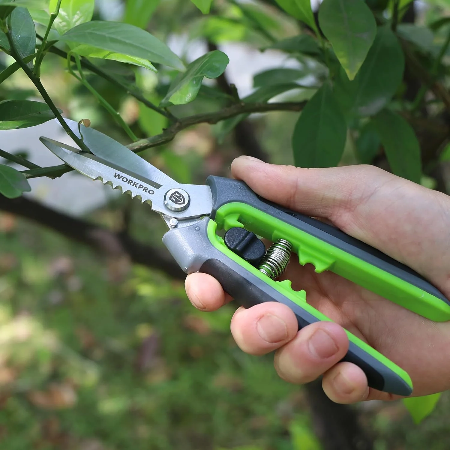 WORKPRO 8" Pruning Shears for Gardening, Multipurpose Garden Shears | Stainless Steel Blade with Sheath, Straight Pruning Scissors Garden Snips for Flowers, Fruits & Vegetables - Image 3