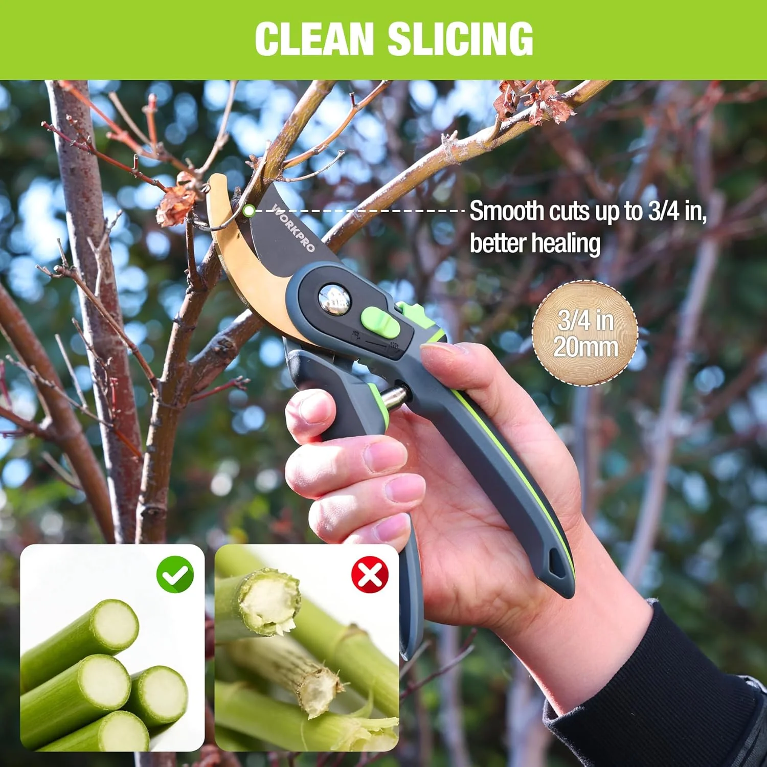 WORKPRO Bypass Pruning Shears, 9" Professional Garden Shears with Adjustable Handle Span, Premium Steel Garden Clippers, Titanium Coated Garden Tool, Cuts Up to 3/4 Inch - Image 3