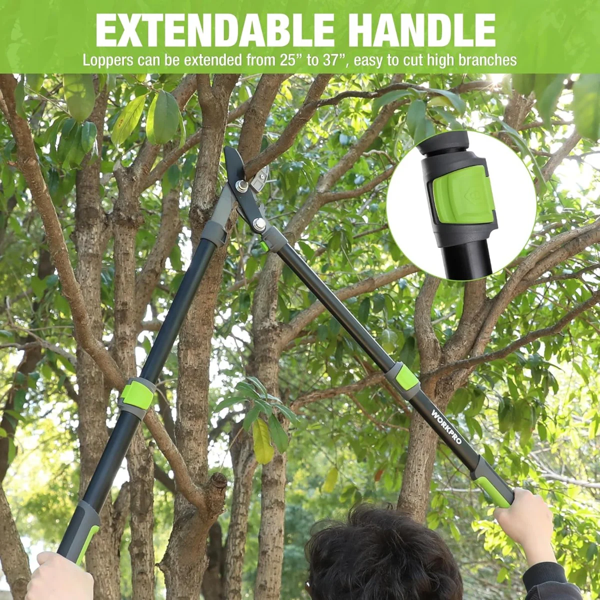 WORKPRO Extendable Anvil Lopper , 25-37" Branch Cutter, Heavy Duty Garden Tree Trimmer - Image 5