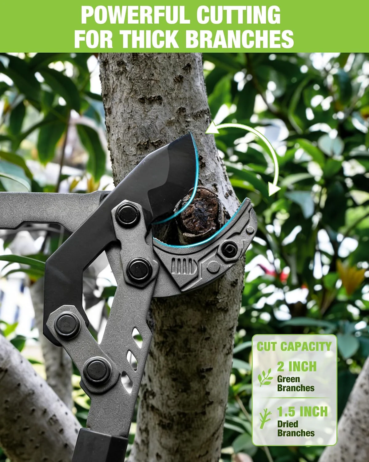 WORKPRO Extendable Anvil Lopper, 26"-33" Branch Cutter with Compound Action | Heavy Duty Tree Trimmer with 2 Inch Cutting Capacity, Garden Lopper with Telescopic Handles for Garden Farm Orchard - Image 6
