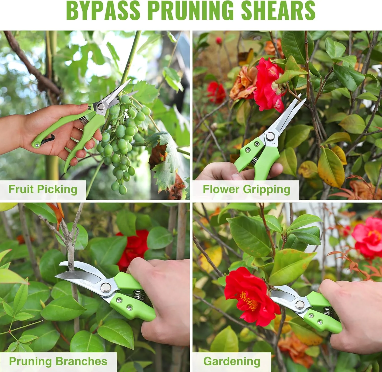 WORKPRO Garden Clippers, 2 Pcs Flower Scissors Include 8" Bypass Pruner and 8.5'' Straight Blade Shear, Professional Pruning Shears Kit for Cutting Flowers, Trimming Plants, Fruits Picking - Image 8