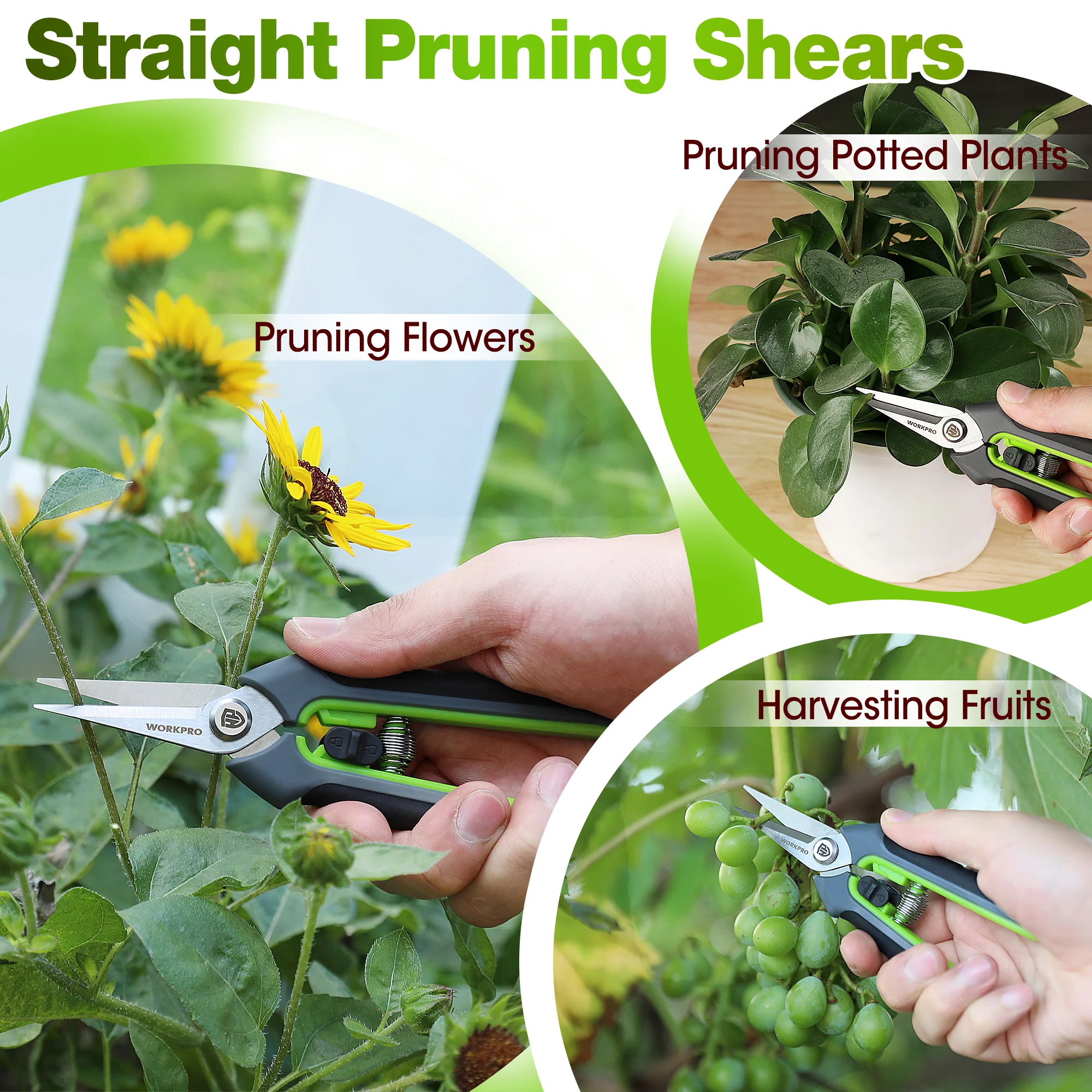 WORKPRO Garden Pruning Shears 2 Pack, 8" Bypass Pruning Shears and 6.25" Straight Garden Scissors - Image 5