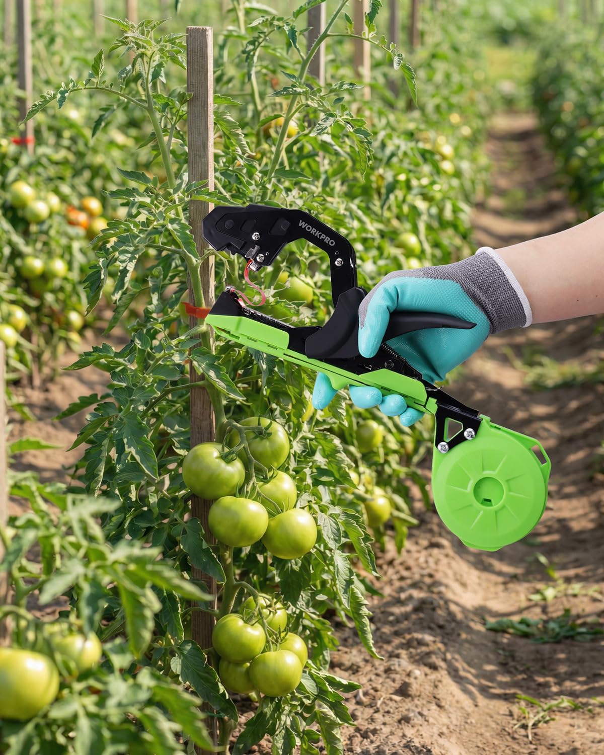WORKPRO Plant Tying Machine, Lightweight Tape Gun for Tying Vines and Support Plants, Includes Gloves, 20 Rolls of Tape, 10,000 Staples, Ideal for Tomatoes, Grapes, Cucumber and Vegetables - Image 2