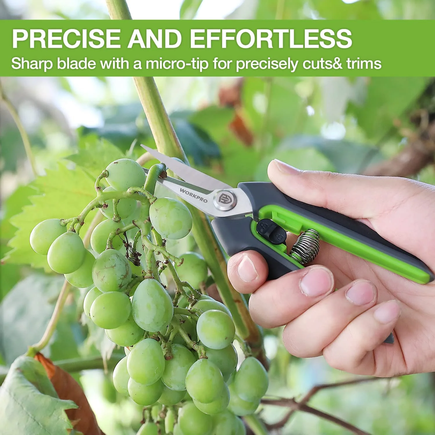 WORKPRO Pruning Shears, 6.25'' Gardening Hand Scissors with Sheath, Stainless Steel Straight Blade Hand Pruner for Precision Pruning and Trimming - Image 3