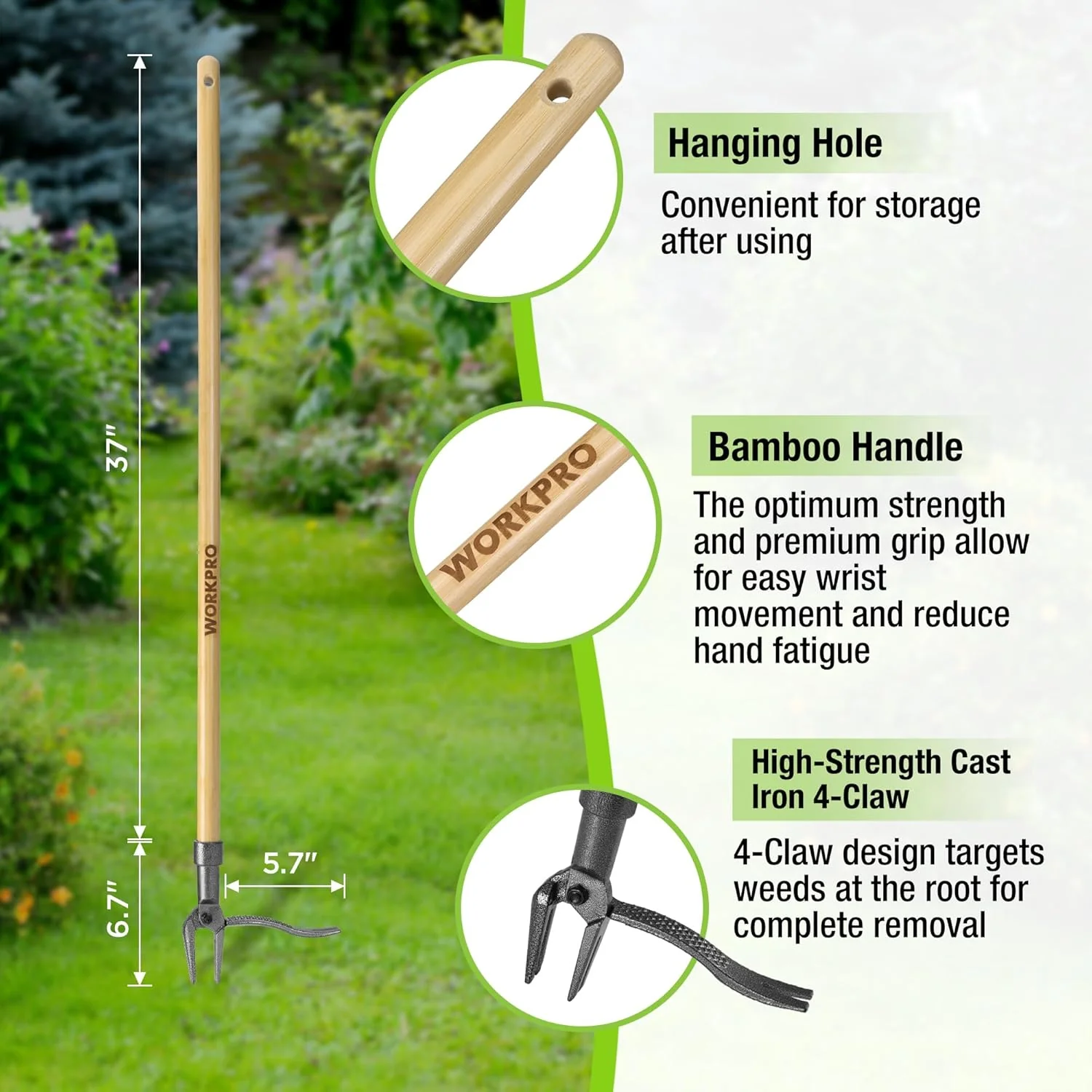 WORKPRO Weed Puller Tool with 44” Bamboo Handle, Heavy-Duty 4-Claw Cast Iron Head, Stand-Up Weeder with Foot Pedal for Dandelions, Thistles, Crabgrass, Easy Root Removal Without Bending or Kneeling - Image 2