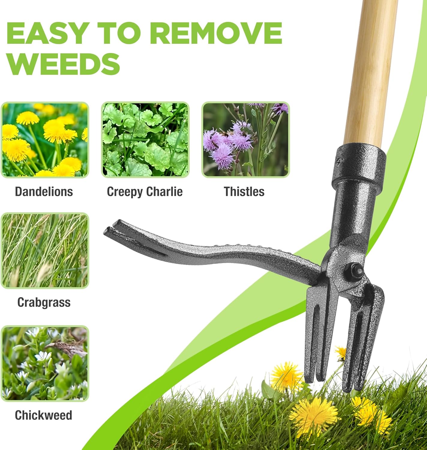 WORKPRO Weed Puller Tool with 44” Bamboo Handle, Heavy-Duty 4-Claw Cast Iron Head, Stand-Up Weeder with Foot Pedal for Dandelions, Thistles, Crabgrass, Easy Root Removal Without Bending or Kneeling - Image 3