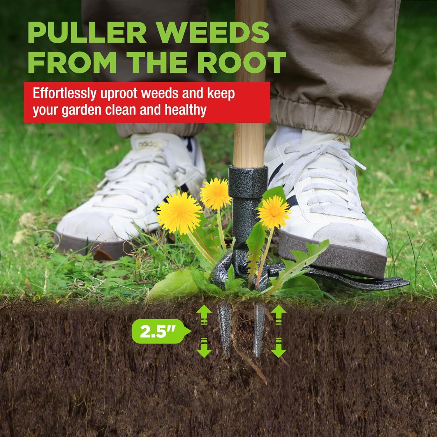 WORKPRO Weed Puller Tool with 44” Bamboo Handle, Heavy-Duty 4-Claw Cast Iron Head, Stand-Up Weeder with Foot Pedal for Dandelions, Thistles, Crabgrass, Easy Root Removal Without Bending or Kneeling - Image 5