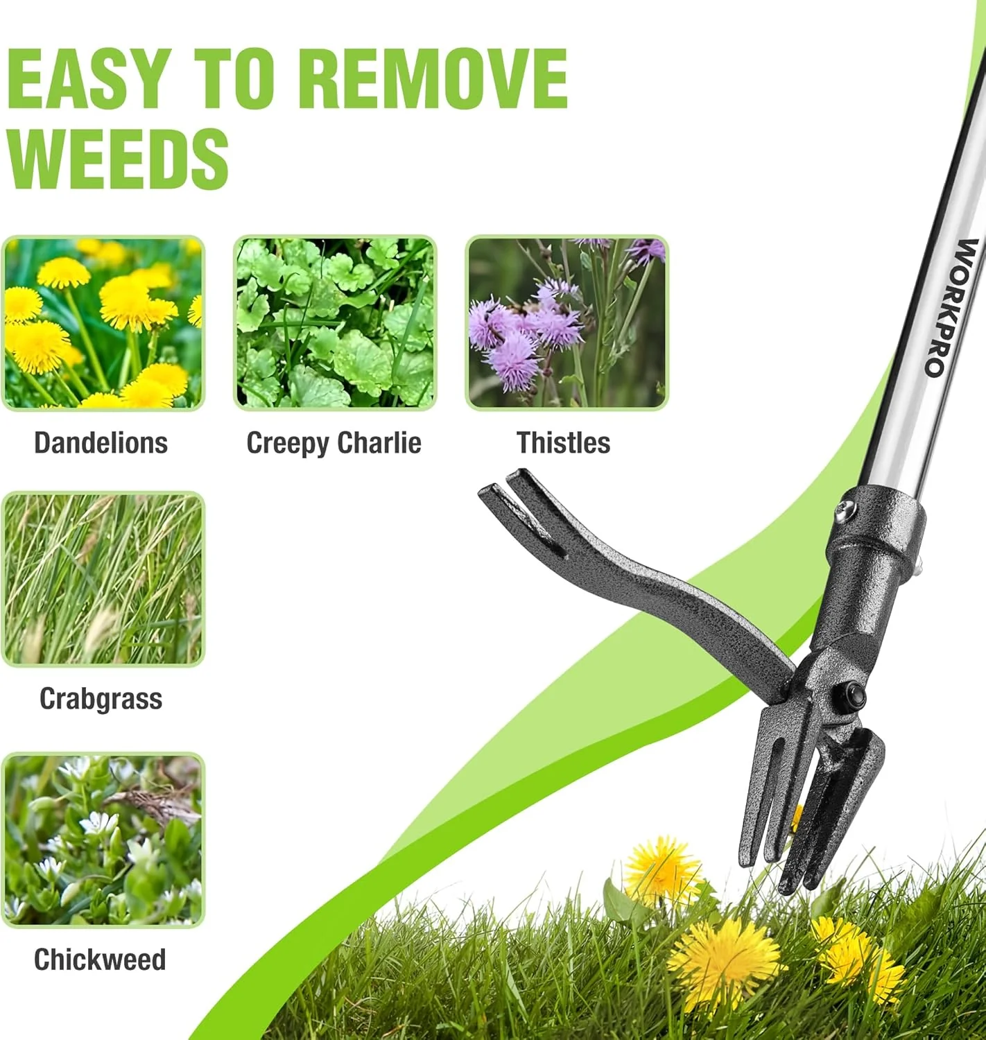 WORKPRO Weed Puller Tool with Long Adjustable Handle (33", 46"), Stand Up Heavy Duty Weed Remover- 4 Claw Steel Head & Foot Pedal for Easy Weeding, Detachable Dandelion Picker for Lawn/Yard/Garden - Image 6