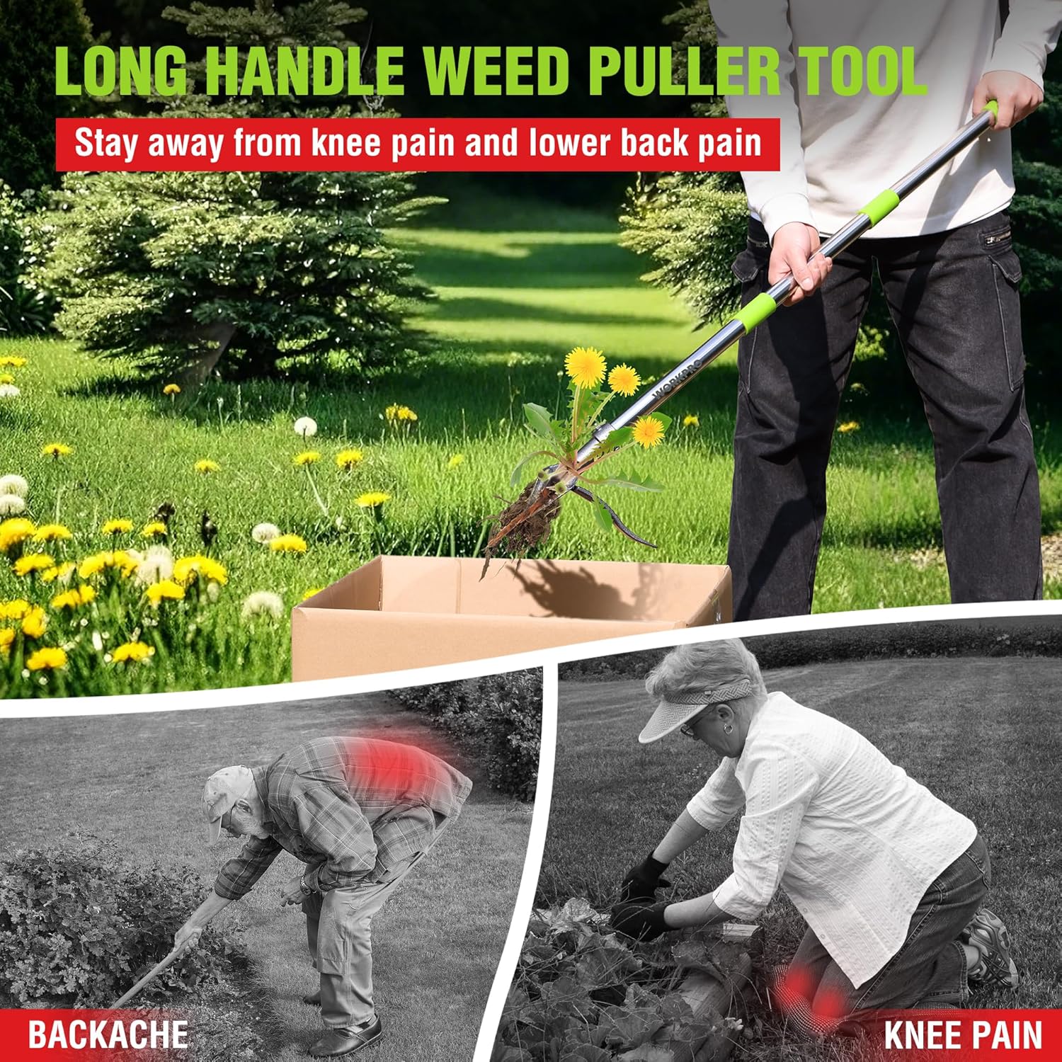 WORKPRO Weed Puller Tool with Long Adjustable Handle (33", 46"), Stand Up Heavy Duty Weed Remover- 4 Claw Steel Head & Foot Pedal for Easy Weeding, Detachable Dandelion Picker for Lawn/Yard/Garden - Image 7