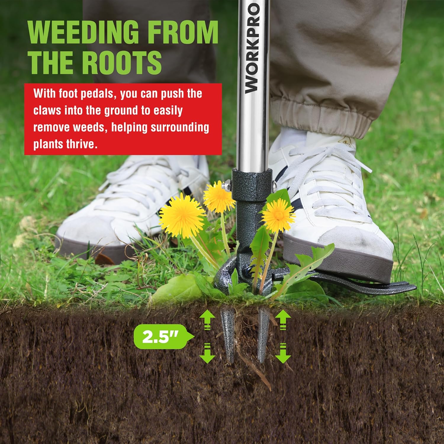 WORKPRO Weed Puller Tool with Long Adjustable Handle (33", 46"), Stand Up Heavy Duty Weed Remover- 4 Claw Steel Head & Foot Pedal for Easy Weeding, Detachable Dandelion Picker for Lawn/Yard/Garden - Image 8