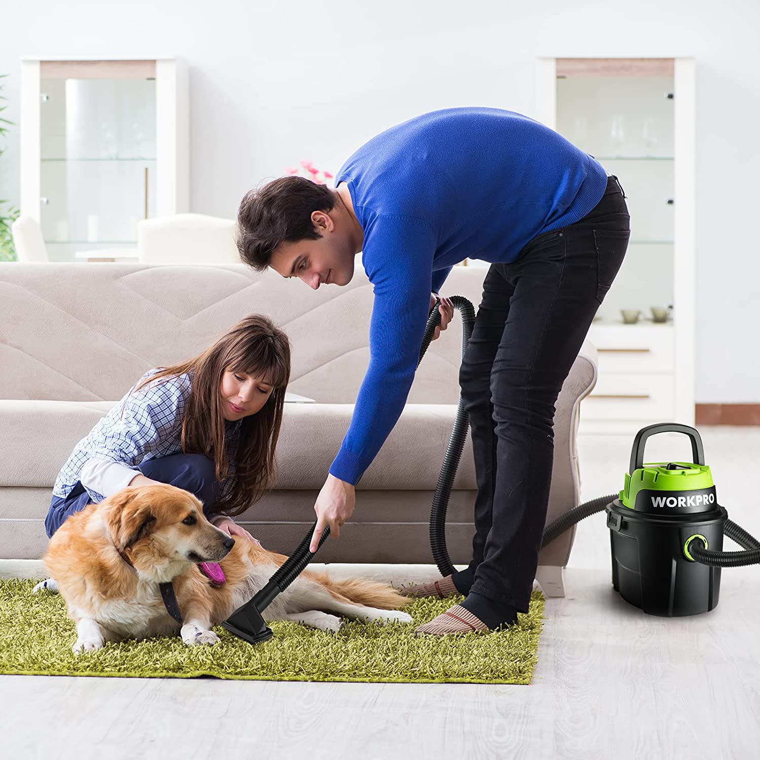 WORKPRO Wet/Dry Vacuum 2.5 Gallon 3 Peak Horsepower, Portable Shop Vacuum Cleaner for Home - Image 7